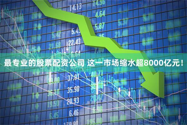 最专业的股票配资公司 这一市场缩水超8000亿元！